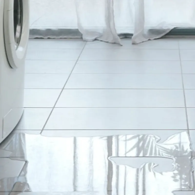 Appliance Leak Cleanup in Southlake, TX