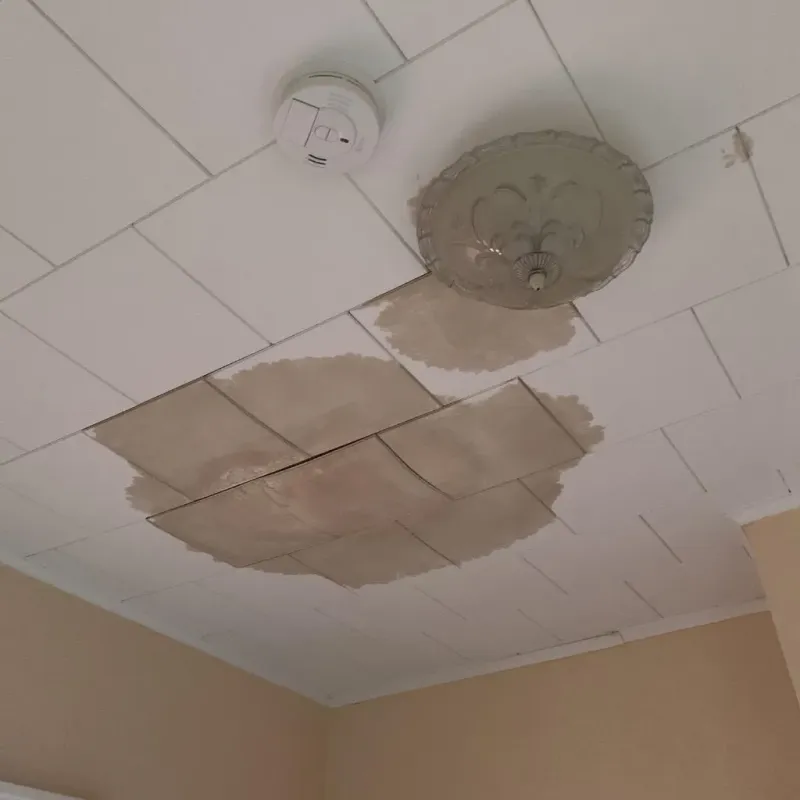 Ceiling Water Damage Repair in Southlake, TX